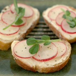 Mini Radish Tartine