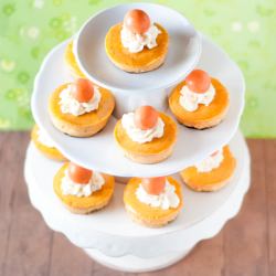 Mini Pumpkin Cheesecakes