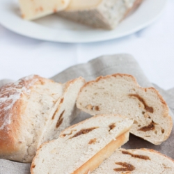 Fig and Hazelnut Loaf for Cheese