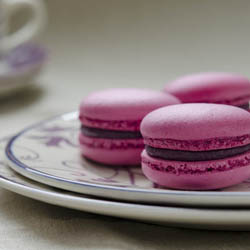 Blackcurrant Macarons