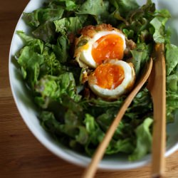 Scotch Eggs