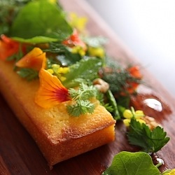 Corn Bread, Avocado, Summer Salad