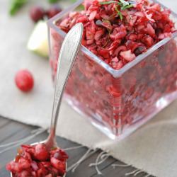 Fresh Cranberry Salsa