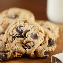 Peanut Butter Chocolate Chip Cookie