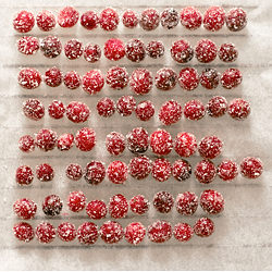 Sparkling Cranberries