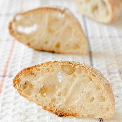 Sourdough Ciabatta Rolls