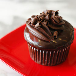 Chocolate Decadence Cupcake