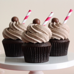 Chocolate Malt Cupcakes