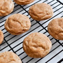 Fat Snickerdoodles