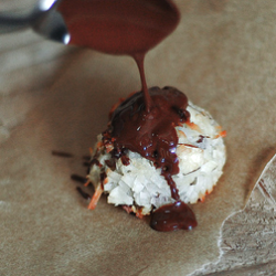 Cranberry Almond Coconut Macaroons