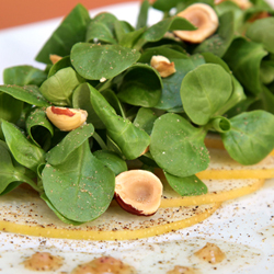 Mâche and Asian Pear Salad