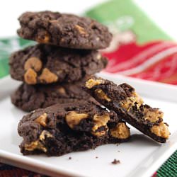 Dark Chocolate Peanut Butter Chip