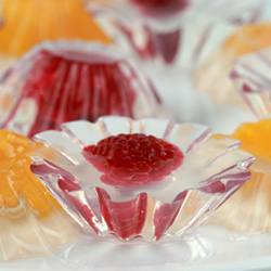 Agar Agar or Kanten Fruit Jellies