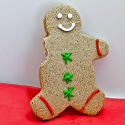 Gingerbread Man