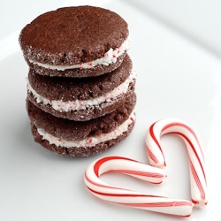 Chocolate Candy Cane Cookies