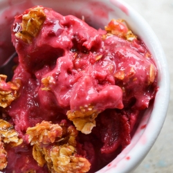 Sour Cherry Oatmeal Praline Froyo