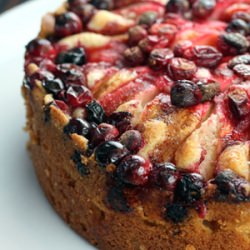 Cranberry-Apple Cake