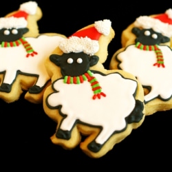 BAA Humbug Cookies