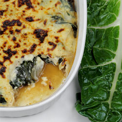 Swiss Chard Gratin