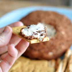 Chocolate Chip Cheeseball