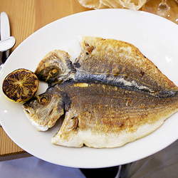 Lunch at Eataly’s Pesce