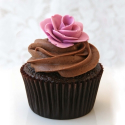 Perfect Chocolate Cupcakes