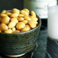 Lupini Beans with a Glass of Arak