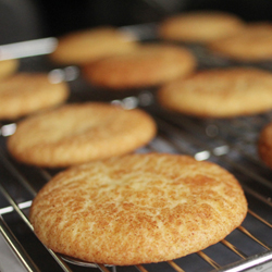 Snickerdoodles