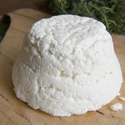 Homemade Ricotta