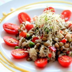 Lentil Salad