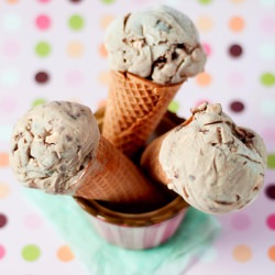 Chocolate Malt Ice Cream