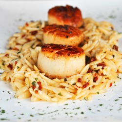 Sun Dried Tomato Orzo and Scallops