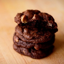 Chocolate Peanut Butter Cookies