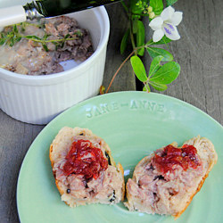 Easy Duck Rillettes