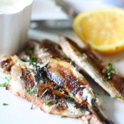 Baked Sardines with Aioli