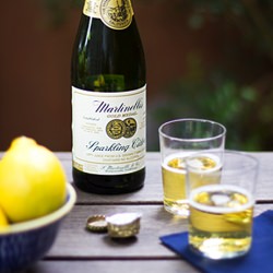 Sparkling Cider Sorbet