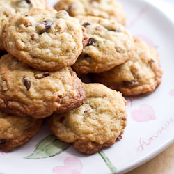 Coconut Choc. Chip Cookies