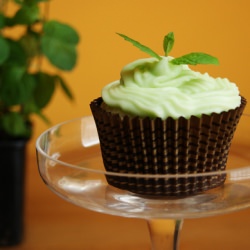 Mojito Cupcakes