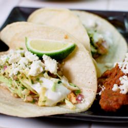 Titillating Tilapia Tacos