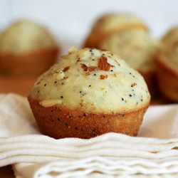 Poppy Seed Muffins and Cake