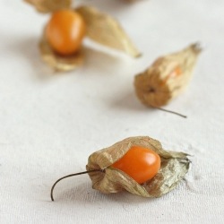 Cape Gooseberries