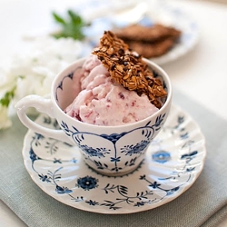 Cranberry Frozen Yogurt