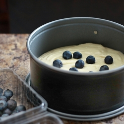 Blueberry Pecan Coffeecake