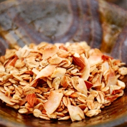 Toasted Coconut & Almond Granola