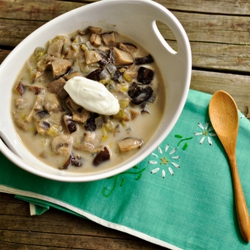 Lightened Up Cream of Mushroom Soup