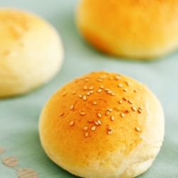 The Best Hamburger Bun