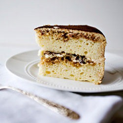 Tiramisu Cake