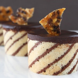 Chocolate Hazelnut Mousse Entremets