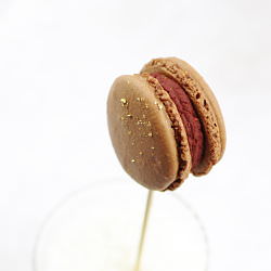 Raspberry & Chocolate Macarons