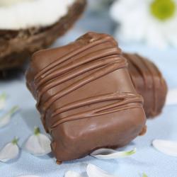 Homemade Bounty Bars